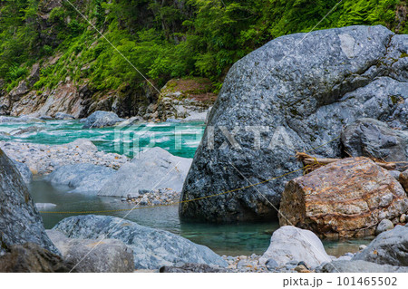 緑深い黒部峡谷鉄道沿線 河原露天風呂 緑深い黒部峡谷鉄道沿線 河原露天風呂 101465502