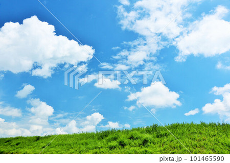 爽やかな夏の青空と新緑の草原 爽やかな夏の青空と新緑の草原 101465590
