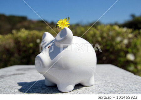 Business and finance starting again with spring Business and finance starting again with spring 101465922