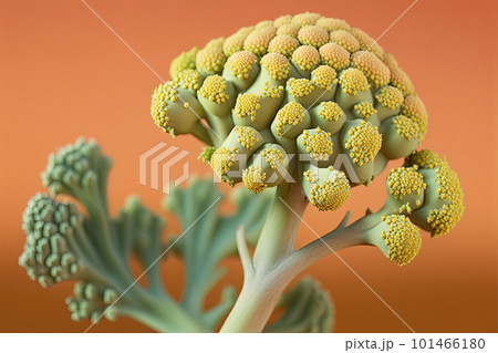 Green broccoli on colorful background. Pop art modern style, Generative AI Green broccoli on colorful background. Pop art modern style, Generative AI 101466180