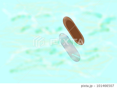 エメラルドグリーンの海に浮かぶ小舟 101466507