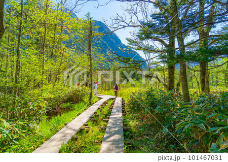【絶景】初夏の上高地 登山者【長野県】 【絶景】初夏の上高地 登山者【長野県】 101467031