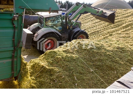 Preparation of animal food in agricultural complex Preparation of animal food in agricultural complex 101467521