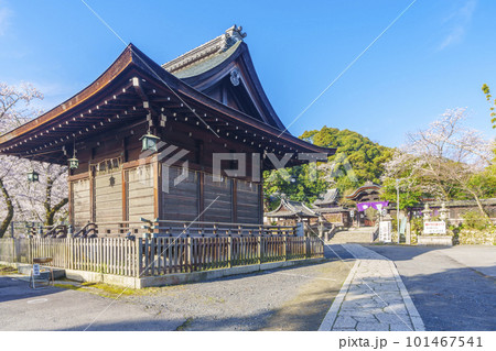 三尾神社（うさぎ神社）舞殿　神門　拝殿（滋賀県大津市） 101467541
