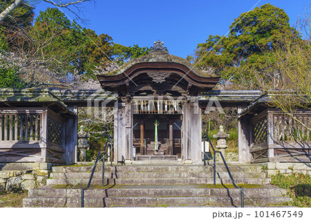 三井寺　護法善神堂　唐門　桜咲く季節（滋賀県大津市） 101467549