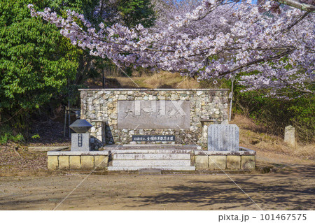 大津そろばんの碑　三井寺展望台　桜咲く季節 101467575