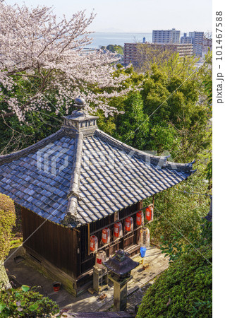 滋賀 三井寺 地蔵堂(南院札所伽藍) 桜咲く季節 滋賀 三井寺 地蔵堂(南院札所伽藍) 桜咲く季節 101467588