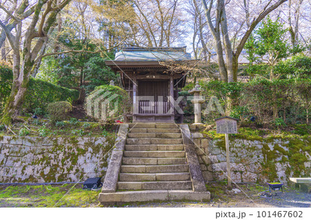 三井寺（園城寺）十八明神社　ねずみの宮 101467602