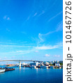 快晴の日の泊大橋 101467726
