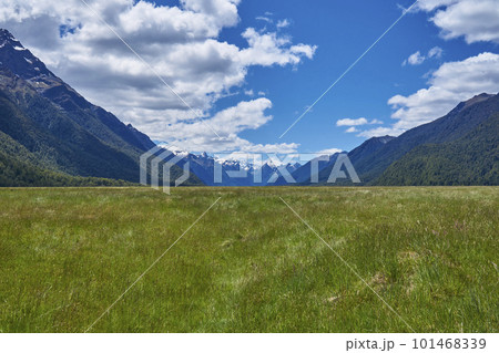 エグリントンフラットの広大な草原 101468339