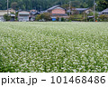 蕎麦畑のある風景 101468486