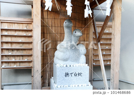 撫でられる白蛇 撫でられる白蛇 101468686