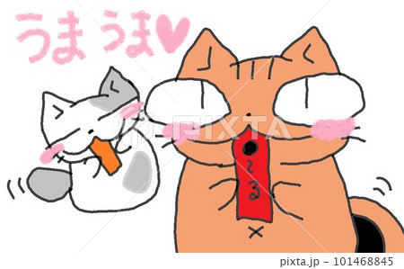 目が大きい猫のうまうま 目が大きい猫のうまうま 101468845