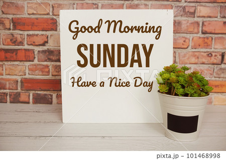 Good Morning Sunday written on wooden board with artificial plant Good Morning Sunday written on wooden board with artificial plant 101468998