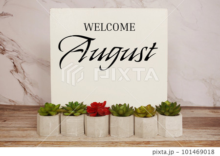 Welcome August written on wooden board with artificial plant on wooden background Welcome August written on wooden board with artificial plant on wooden background 101469018