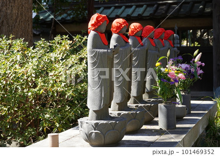 梅の花咲く藤沢常立寺のお地蔵様 101469352