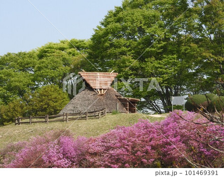 岡山県津山市にある弥生時代の遺跡:沼弥生住居址(2023年4月 屋根修理完了) 岡山県津山市にある弥生時代の遺跡:沼弥生住居址(2023年4月 屋根修理完了) 101469391