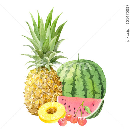 掛軸 鈴木大麻 作 果物 水彩画 掛軸 鈴木大麻 作 果物 水彩画 掛軸