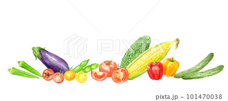 彩菜イラストオーダー　 5月用② 夏が旬の野菜の水彩イラスト 横長デザインのイラスト素材 [101470038