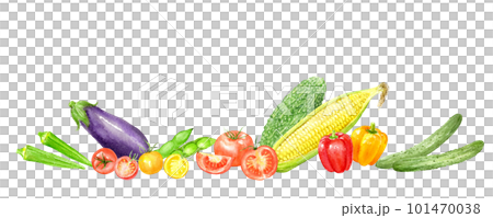 夏季時令蔬菜水平設計的水彩插圖 101470038