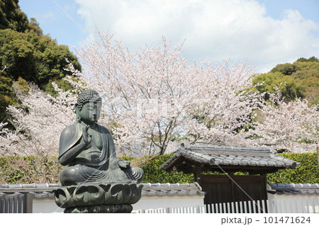 春の粉河寺 101471624