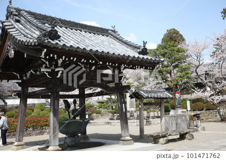 春の粉河寺 101471762