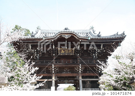 春の粉河寺 101471874
