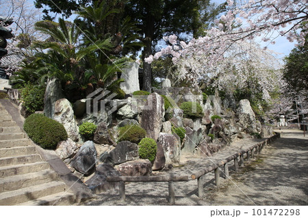 春の粉河寺 101472298