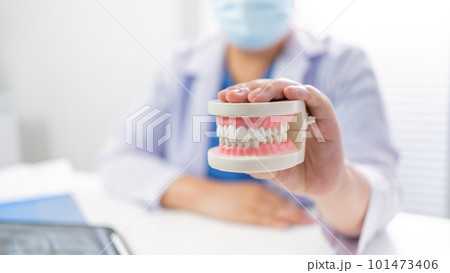 Dentist at dental clinic White healthy tooth with Dental model in oral surgeons discussing jaw x-ray on tablet medicine healthcare oral surgery concept. Dentist at dental clinic White healthy tooth with Dental model in oral surgeons discussing jaw x-ray on tablet medicine healthcare oral surgery concept. 101473406