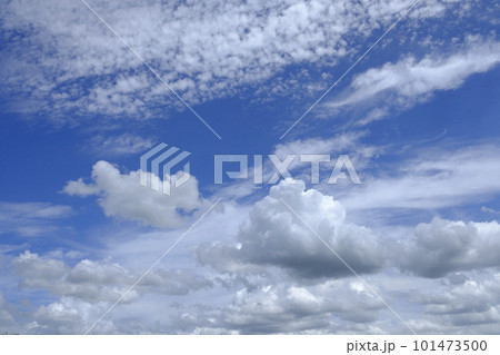 春の青空と雲 101473500
