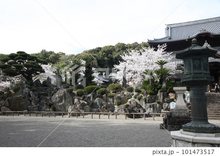 春の粉河寺 101473517
