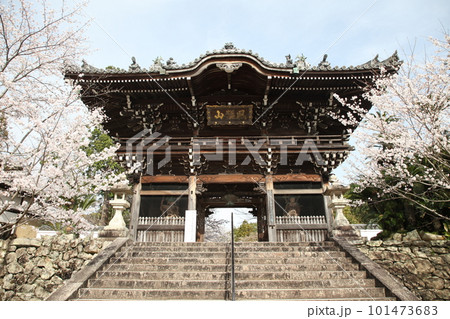 春の粉河寺 101473683