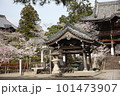 春の粉河寺 101473907