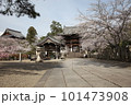 春の粉河寺 101473908