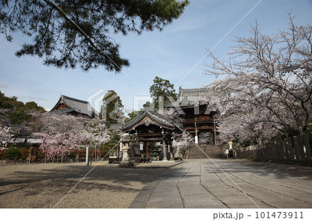 春の粉河寺 101473911
