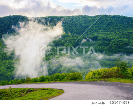 as the sun rises, a mystical fog blankets the countryside, shrouding the road in mystery. tranquil scenery of rolling hills and grassy fields is interrupted only by majestic mountains 101474393