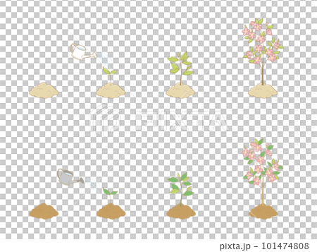 成長していく花の木 101474808