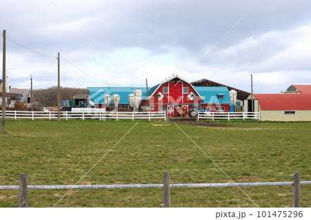 北海道 根室地方 牧場の風景 北海道 根室地方 牧場の風景 101475296