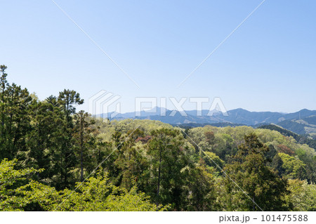赤ぼっこの山頂から見た奥多摩の山塊（東京都青梅市） 101475588