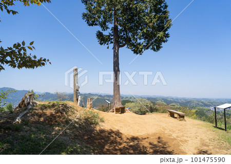 赤ぼっこの山頂(東京都青梅市) 赤ぼっこの山頂(東京都青梅市) 101475590