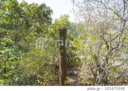 天狗岩(東京都青梅市) 天狗岩(東京都青梅市) 101475598