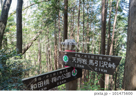 要害山の山頂(東京都青梅市) 要害山の山頂(東京都青梅市) 101475600