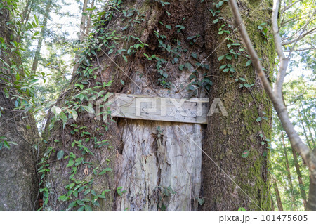 愛宕山の山頂(東京都青梅市) 愛宕山の山頂(東京都青梅市) 101475605