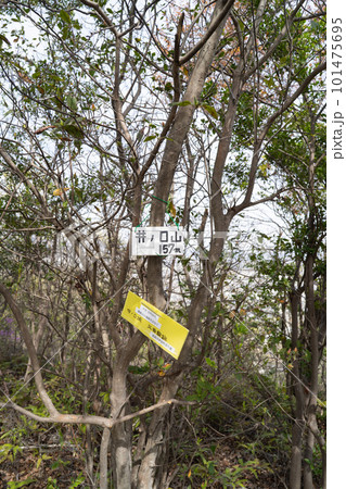 井ノ口山の山頂(兵庫県姫路市) 井ノ口山の山頂(兵庫県姫路市) 101475695