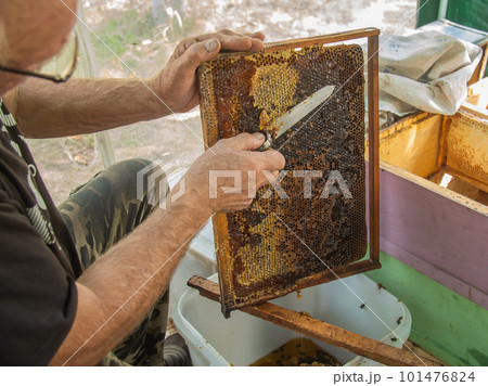 Beekeeper cuts off the wax from honeycomb frame. Production of fresh honey and tool for extraction of honey Beekeeper cuts off the wax from honeycomb frame. Production of fresh honey and tool for extraction of honey 101476824