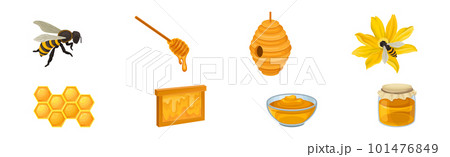 Honey with Dripping Sticky Nectar in Bowl and Honeycomb Vector Set 101476849