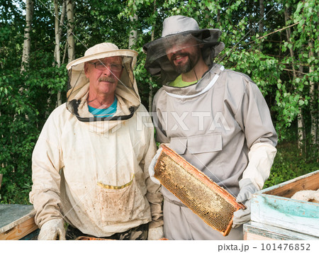 Beekeeper removing honeycomb from beehive. Person in beekeeper suit taking honey from hive. Farmer wearing bee suit working with honeycomb in apiary. Beekeeping in countryside - organic farming 101476852