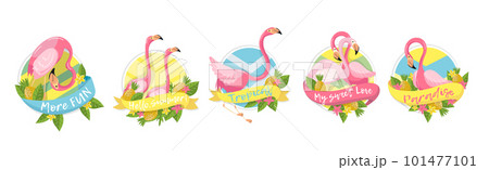 Round Badges with Exotic Pink Flamingo, Pineapple and Leaves Vector Set 101477101