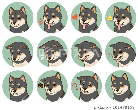 柴犬の表情アイコンセット（黒柴）のイラスト素材 [101478155] - PIXTA