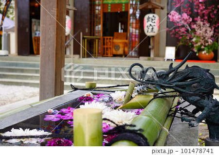 手水舎　蛇窪神社　東京都品川区二葉 101478741